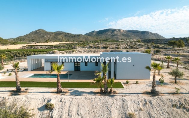 New Build - Detached villa - Pinoso