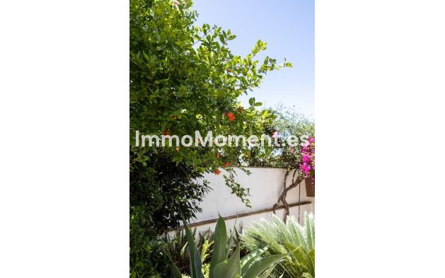 Bestaande woning - Geschakelde woning - Marbella - San Pedro de Alcántara