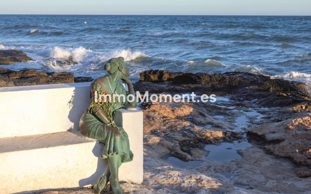 Obra nueva - High-bungalow - Torrevieja