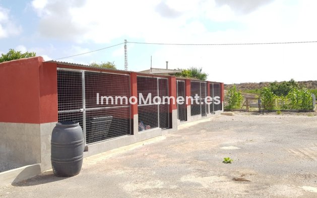 Wiederverkauf - Landhaus - Los Montesinos - Los Montesinos Centro