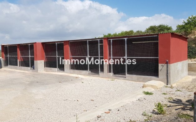 Wiederverkauf - Landhaus - Los Montesinos - Los Montesinos Centro