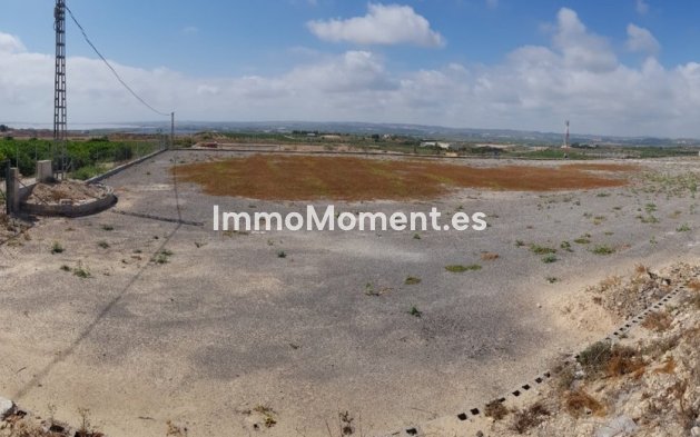 Wiederverkauf - Landhaus - Los Montesinos - Los Montesinos Centro