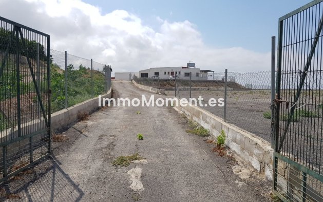 Wiederverkauf - Landhaus - Los Montesinos - Los Montesinos Centro