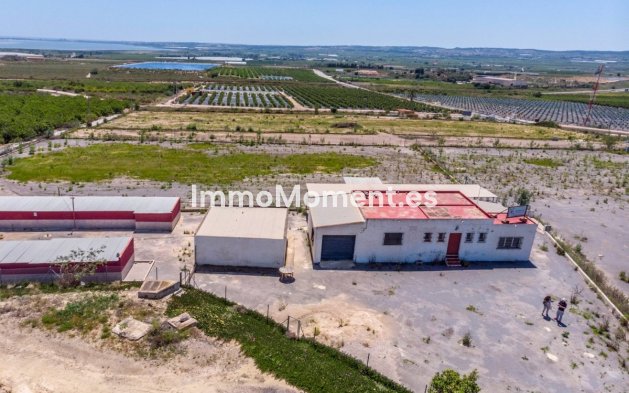 Wiederverkauf - Landhaus - Los Montesinos - Los Montesinos Centro