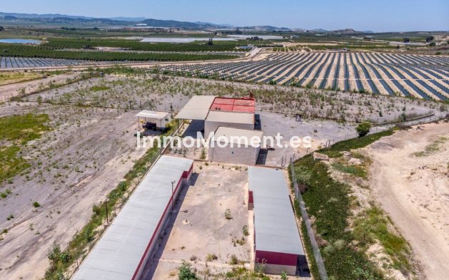 Wiederverkauf - Landhaus - Los Montesinos - Los Montesinos Centro