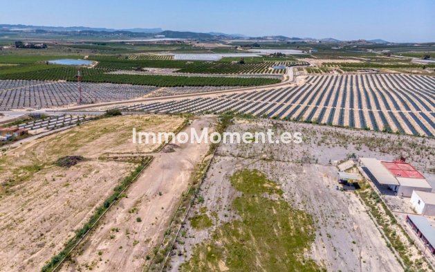 Wiederverkauf - Landhaus - Los Montesinos - Los Montesinos Centro