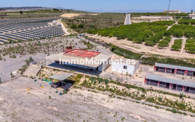 Wiederverkauf - Landhaus - Los Montesinos - Los Montesinos Centro