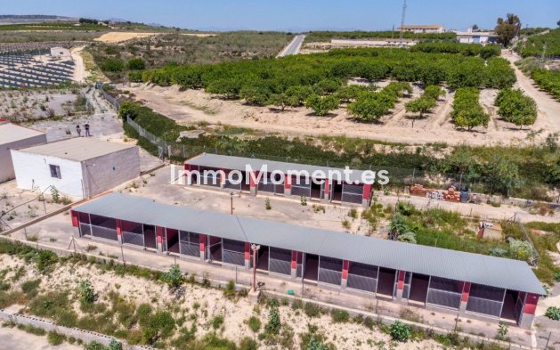 Wiederverkauf - Landhaus - Los Montesinos - Los Montesinos Centro