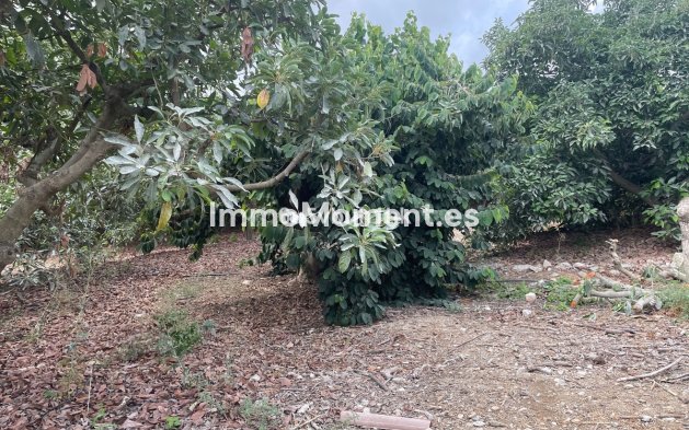 Revente - Maison de campagne - Intérieur                       - Coín