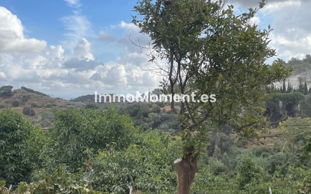 Revente - Maison de campagne - Intérieur                       - Coín