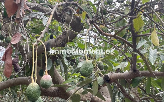 Revente - Maison de campagne - Intérieur                       - Coín