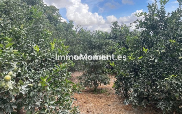 Revente - Maison de campagne - Intérieur                       - Coín