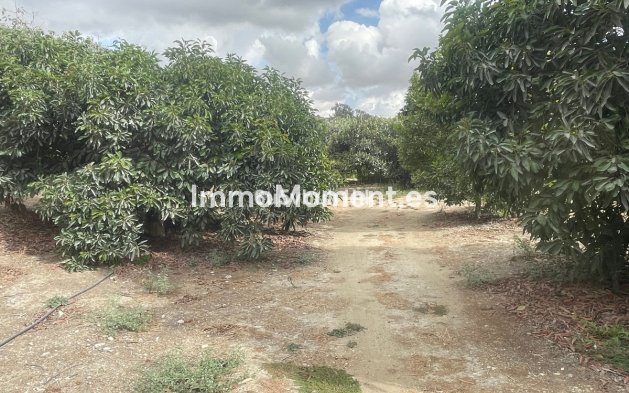 Revente - Maison de campagne - Intérieur                       - Coín