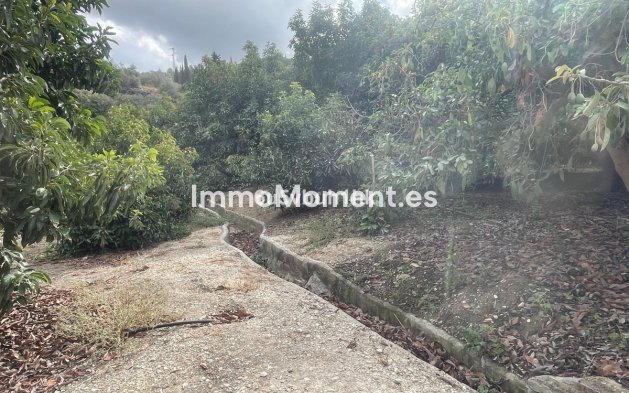 Revente - Maison de campagne - Intérieur                       - Coín