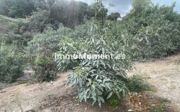 Revente - Maison de campagne - Intérieur                       - Coín