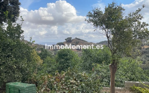 Revente - Maison de campagne - Intérieur                       - Coín