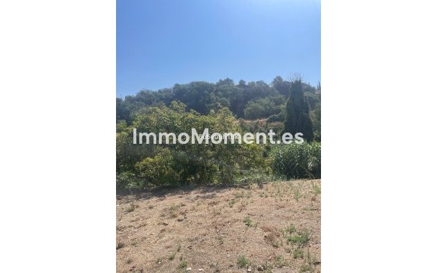 Revente - Maison de campagne - Intérieur                       - Coín