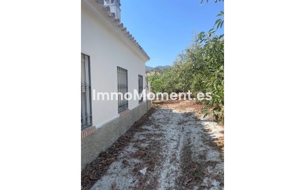 Revente - Maison de campagne - Intérieur                       - Coín