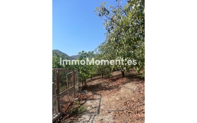 Revente - Maison de campagne - Intérieur                       - Coín