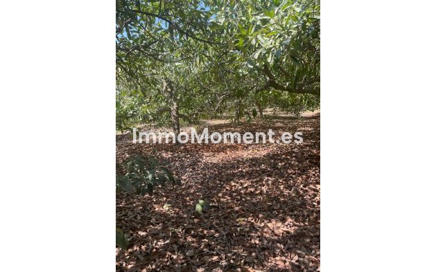 Revente - Maison de campagne - Intérieur                       - Coín