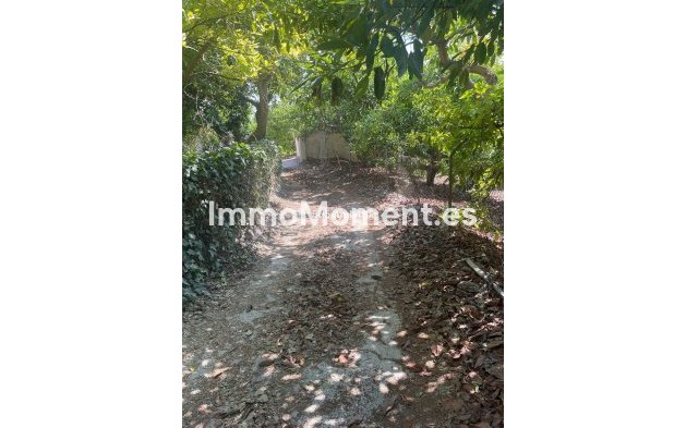 Revente - Maison de campagne - Intérieur                       - Coín