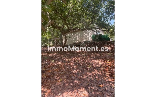 Revente - Maison de campagne - Intérieur                       - Coín