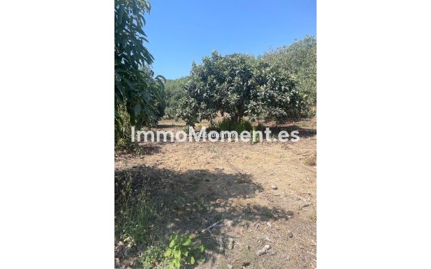 Revente - Maison de campagne - Intérieur                       - Coín