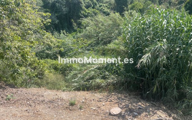 Revente - Maison de campagne - Intérieur                       - Coín