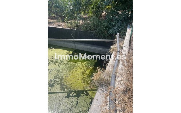 Revente - Maison de campagne - Intérieur                       - Coín