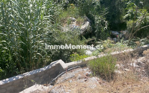 Revente - Maison de campagne - Intérieur                       - Coín