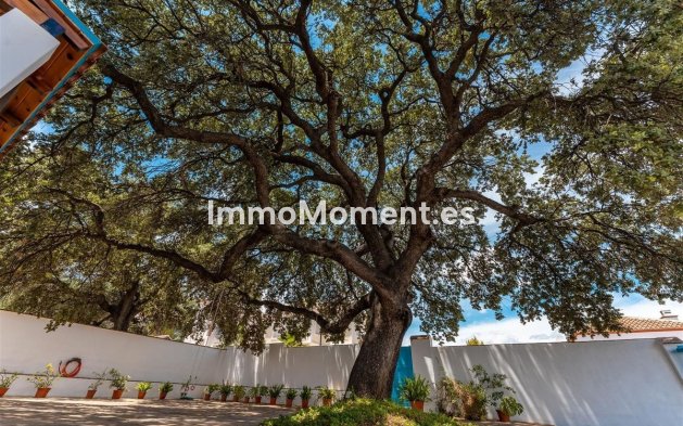 Bestaande woning - Villa - Binnenland  - Alhaurín el Grande Centro