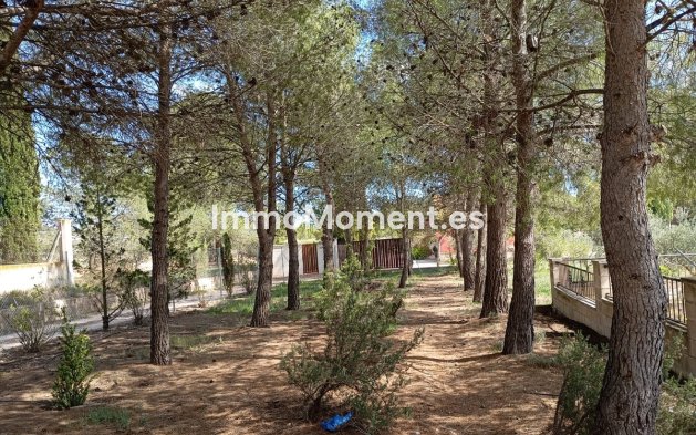 Resale - Villa - Yecla - Yecla Centro