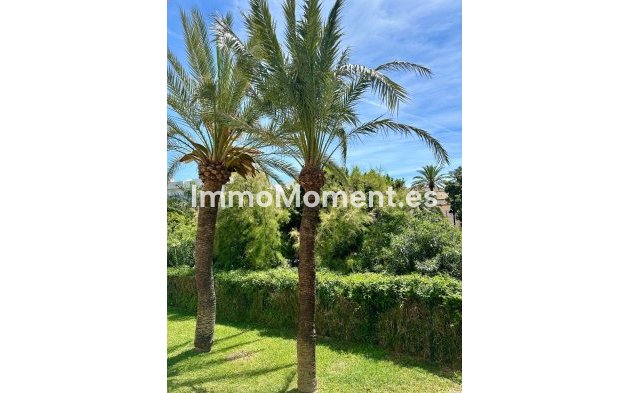 Long Term Rentals - Apartment - Estepona - Estepona Centro