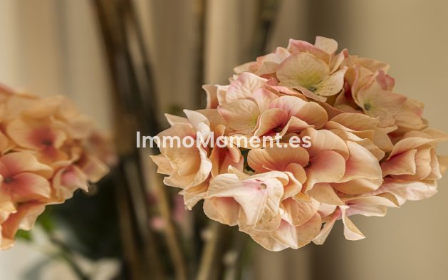 Bestaande woning - Appartement - Casares - Casares Centro