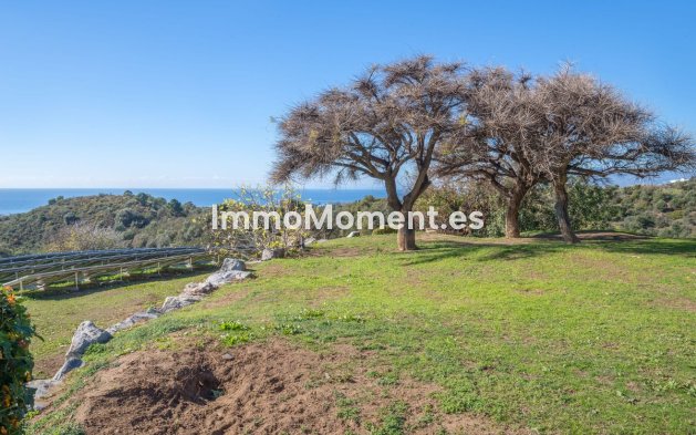 Revente - Villa - Marbella - Altos de los Monteros