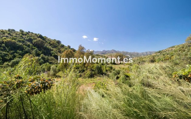 Bestaande woning - Appartement - Marbella - Marbella Centro