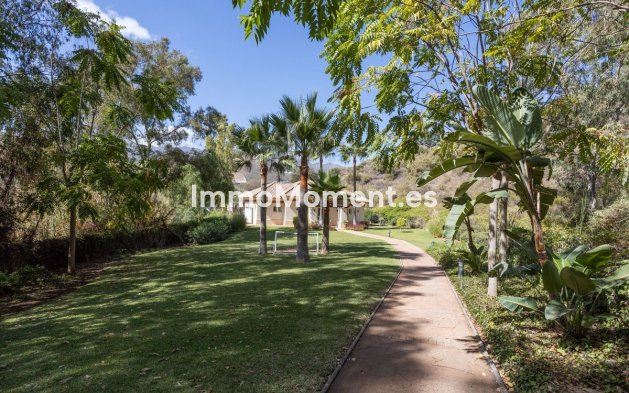 Bestaande woning - Appartement - Marbella - Marbella Centro