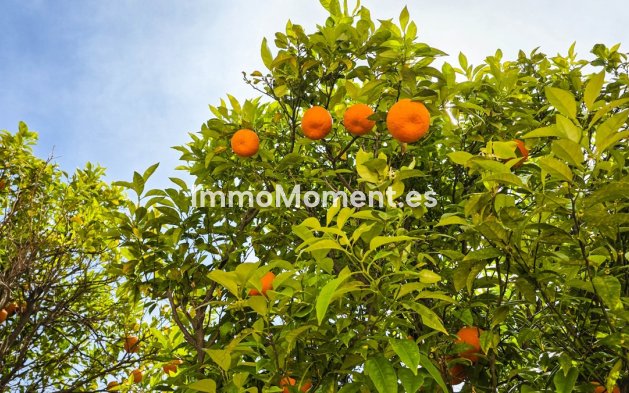 Bestaande woning - Appartement - Manilva - La Duquesa