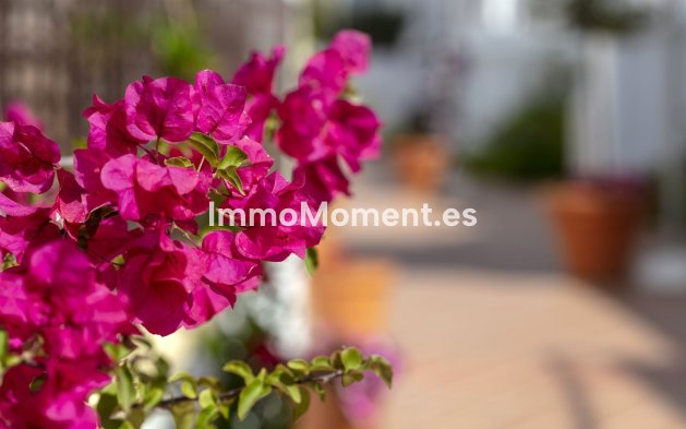 Revente - Appartement - Marbella - Nueva Andalucía