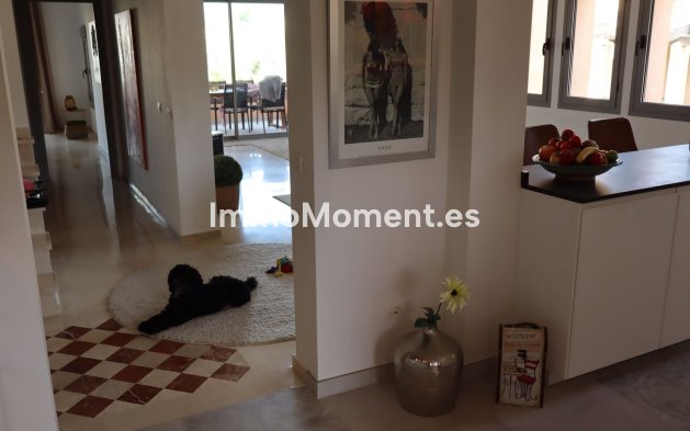 Revente - Appartement - Estepona  - New Golden Mile