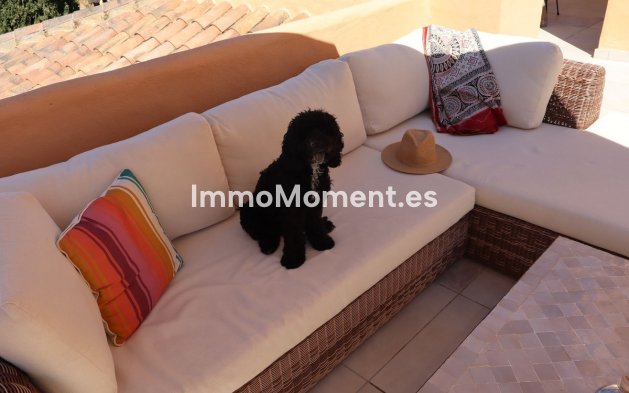 Revente - Appartement - Estepona  - New Golden Mile
