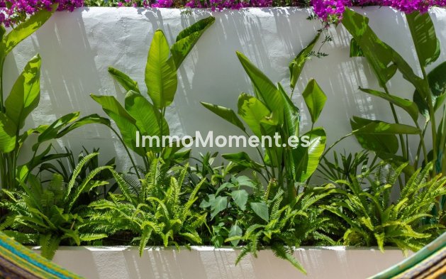 Revente - Maison mitoyenne - Estepona  - New Golden Mile