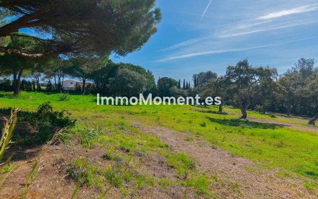 Neubau - Land - Sotogrande - Sotogrande Alto