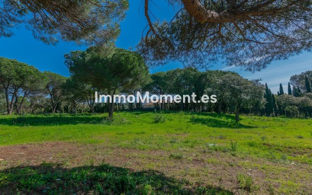 Neubau - Land - Sotogrande - Sotogrande Alto