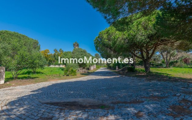 Neubau - Land - Sotogrande - Sotogrande Alto