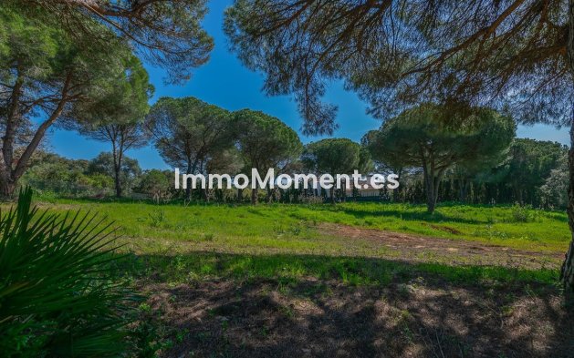 Neubau - Land - Sotogrande - Sotogrande Alto