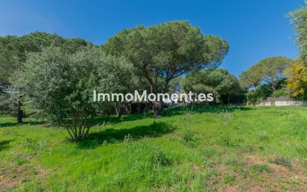 Neubau - Land - Sotogrande - Sotogrande Alto