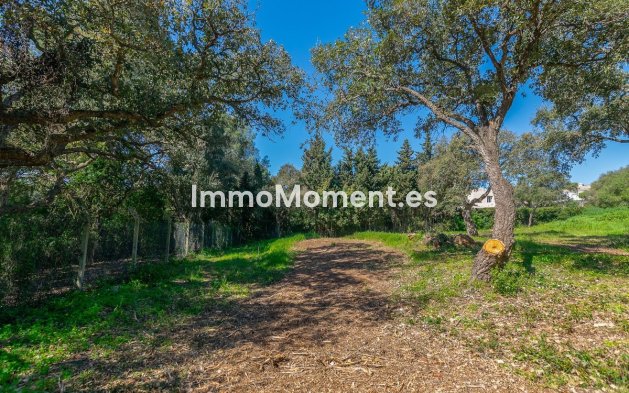 Neubau - Land - Sotogrande - Sotogrande Alto