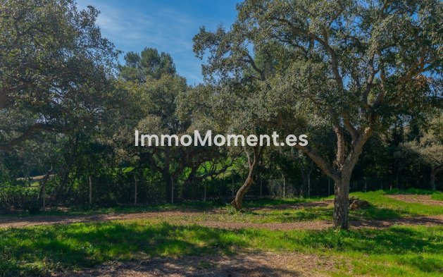 Neubau - Land - Sotogrande - Sotogrande Alto