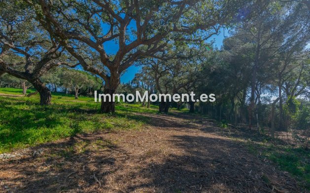 Neubau - Land - Sotogrande - Sotogrande Alto